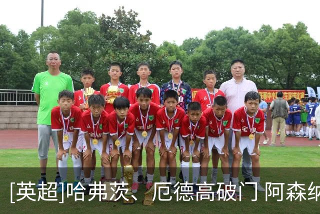 [英超]哈弗茨、厄德高破门 阿森纳逆转切尔西